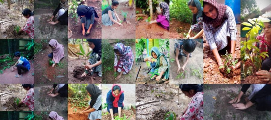 Observation of World Environment Day